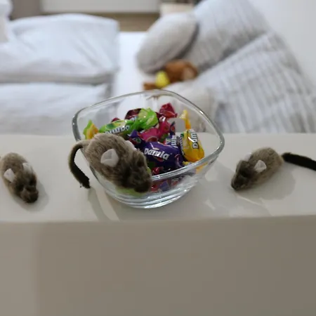 Apartmán Rezeda Vendeghaz