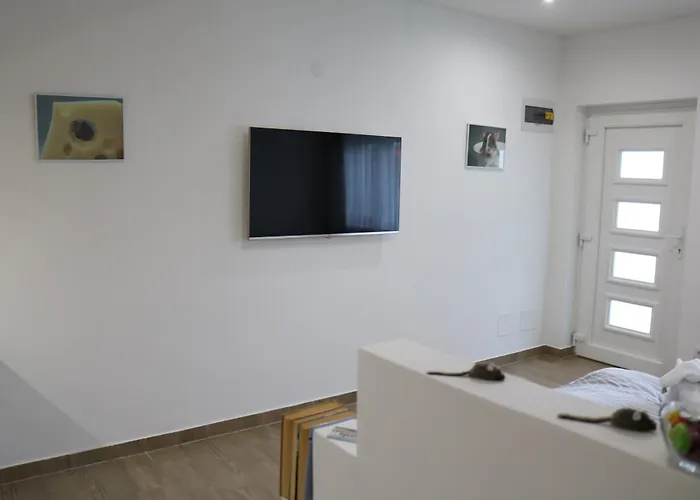 Rezeda Vendeghaz * Fertőhomok